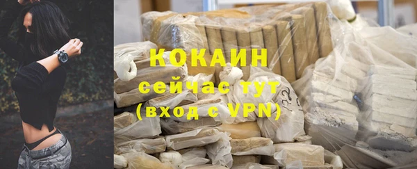 индика Володарск