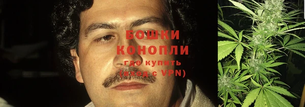 шишки Волоколамск