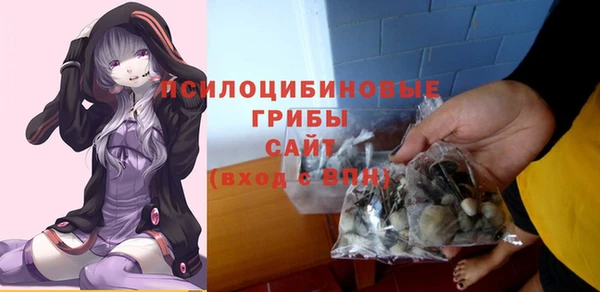 шишки Волоколамск