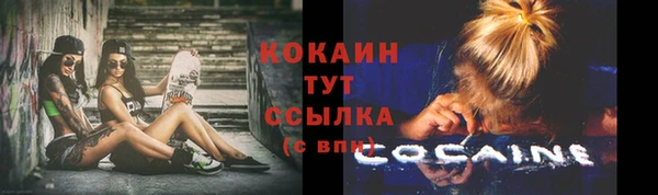 индика Володарск