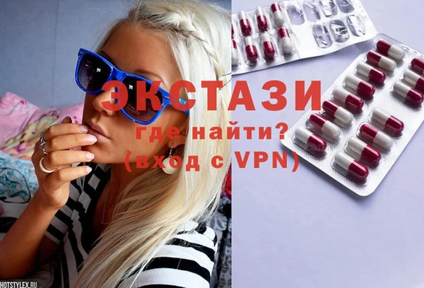 твердый Тайга