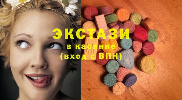 индика Володарск