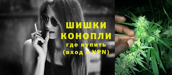 шишки Волоколамск