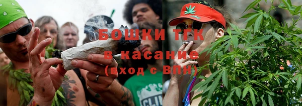 индика Володарск