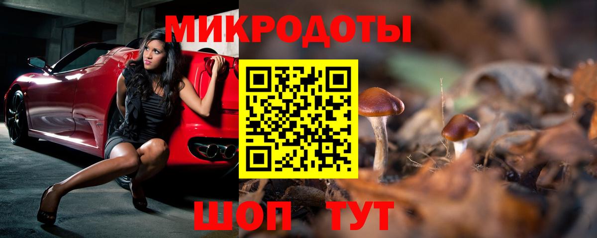Снежинск  Псилоцибиновые грибы Psilocybe  Вход с VPN 